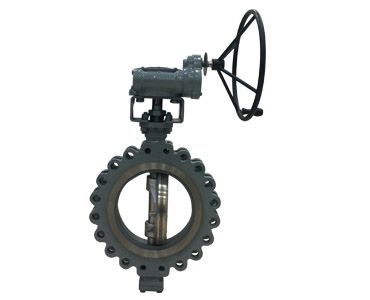 Worm gear butterfly valve